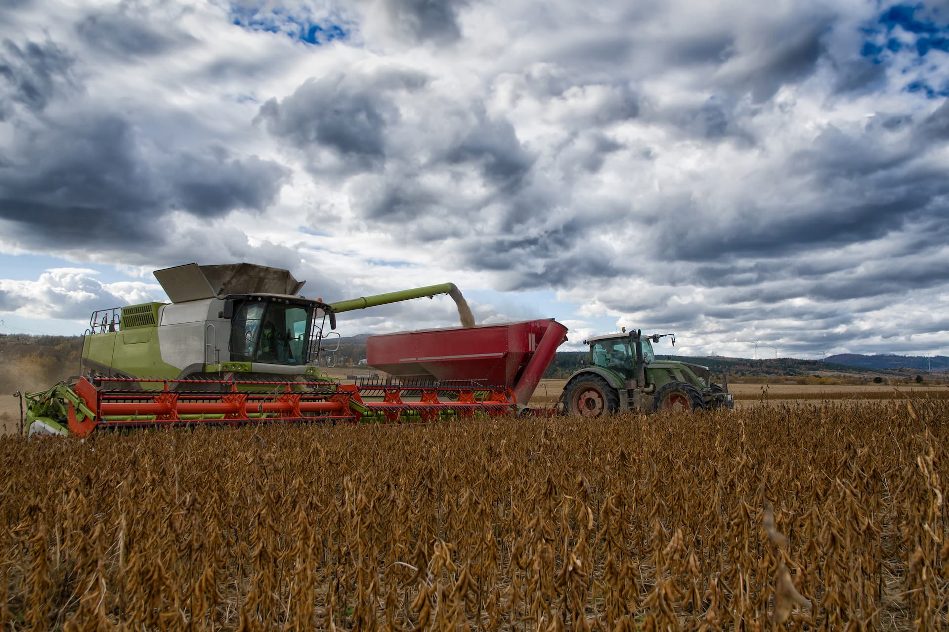 Control de Campañas Agrícolas control-de-campanas-agricolas albor agro