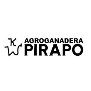 Agroganadera-Pirapo-Paraguay
