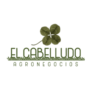 El Cabelludo Agronegocios - Albor Uruguay