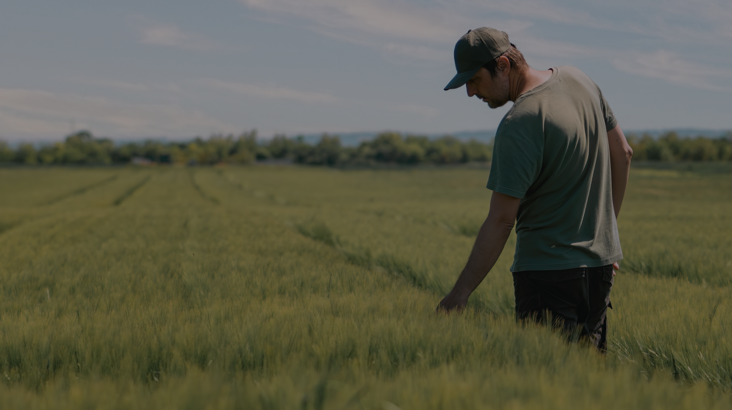 software agropecuario cliente albor campo