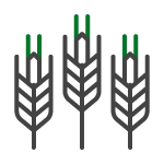 Icono-1
