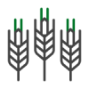 Icono-1